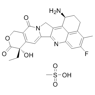 Exatecan mesylate (DX8951) 169869-90-3